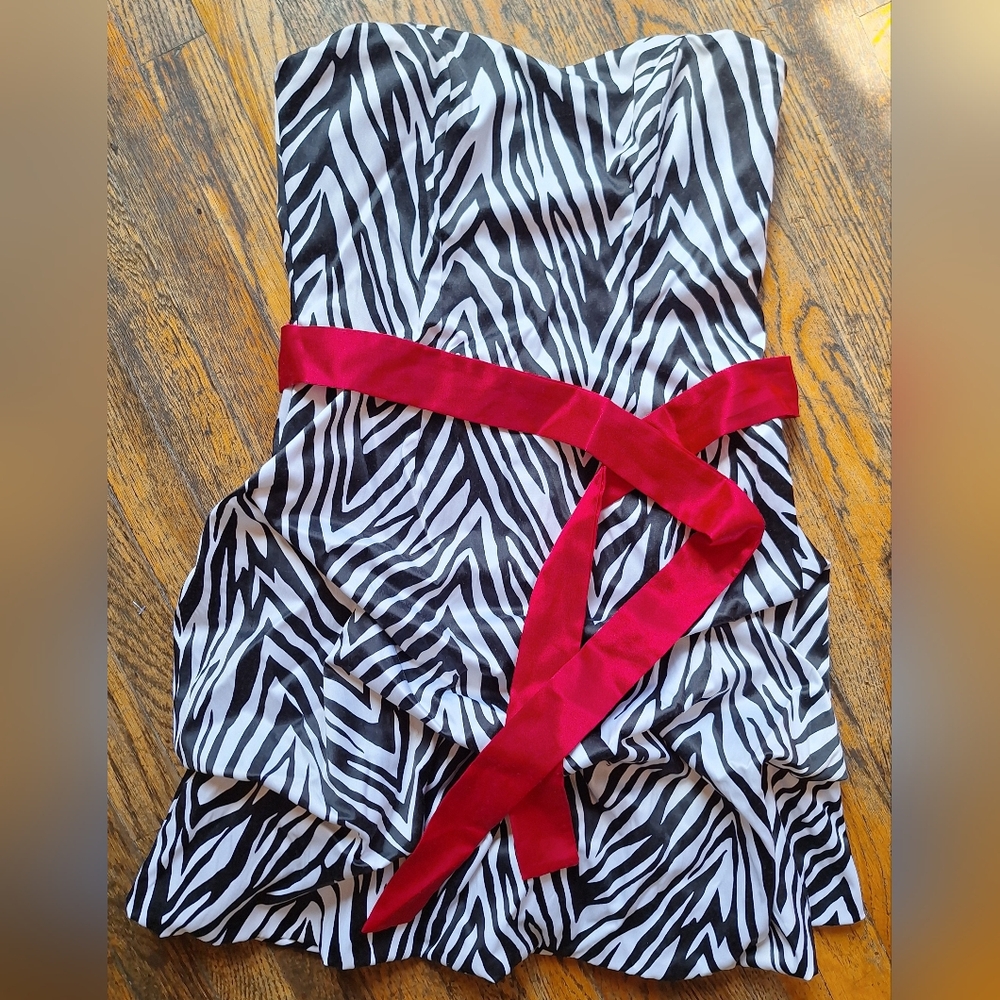 Wishes Wishes Wishes Zebra Print Strapless Mini Dress w/ Red Sash – Size 7 Y2K